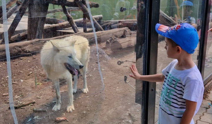 Výlet do ZOO Nyiregyhaza