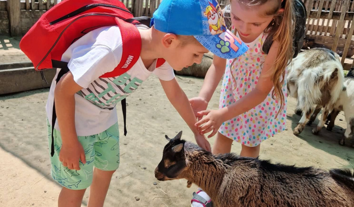 Výlet do ZOO Nyiregyhaza
