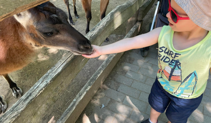 Výlet do ZOO Nyiregyhaza
