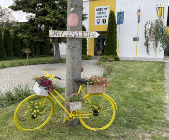 Aktuality / Májáles 2023 - foto