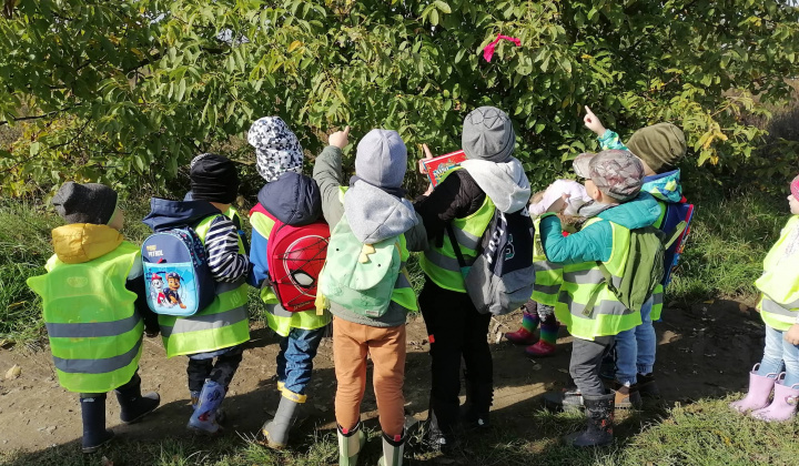 Aktuality / Jesenná prechádzka detí z Materskej školy  - foto