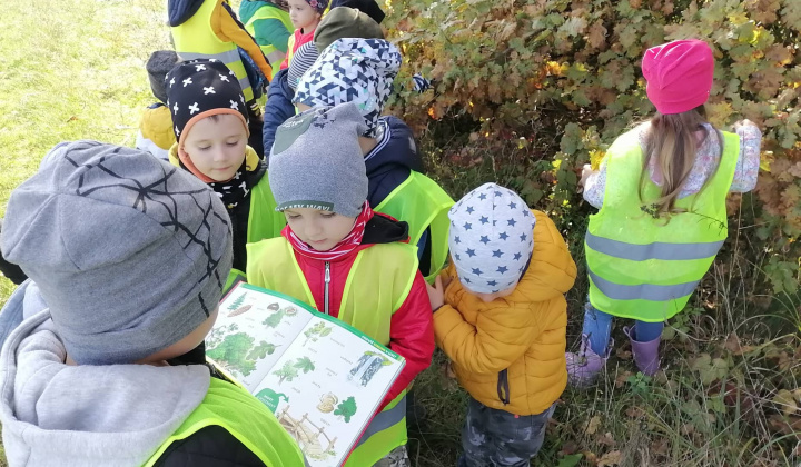 Aktuality / Jesenná prechádzka detí z Materskej školy  - foto