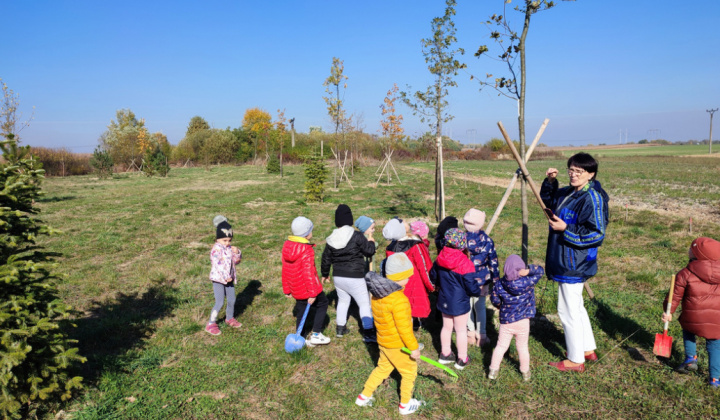 Projekty / Oáza biodiverzity - foto