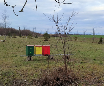 Projekty / Oáza biodiverzity - foto