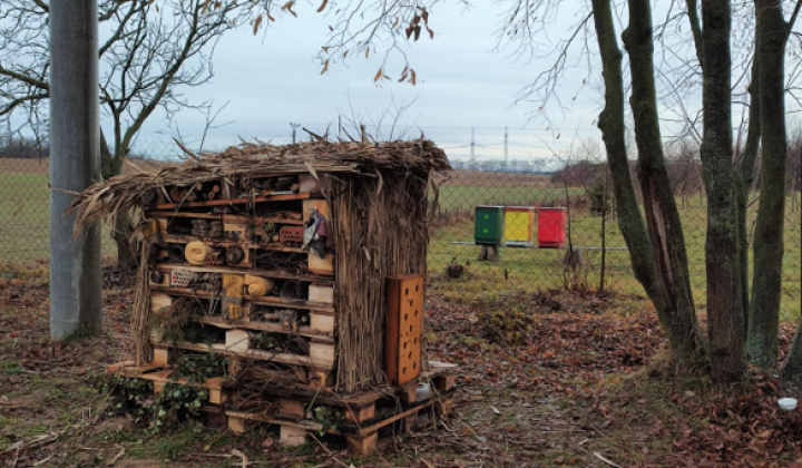 Projekty / Oáza biodiverzity - foto