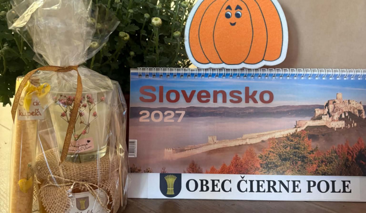 Úcta k starším 2026