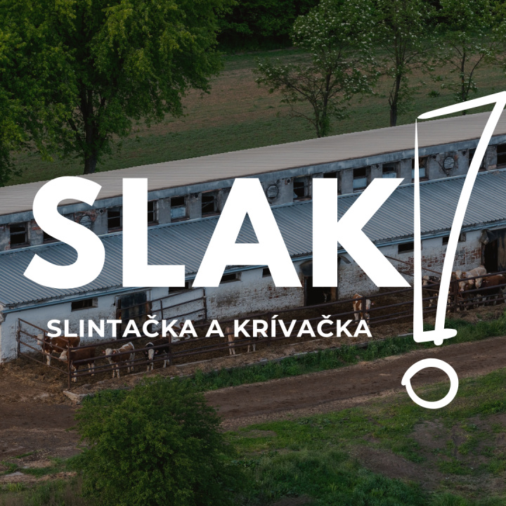 Preventívne opatrenia SLAK